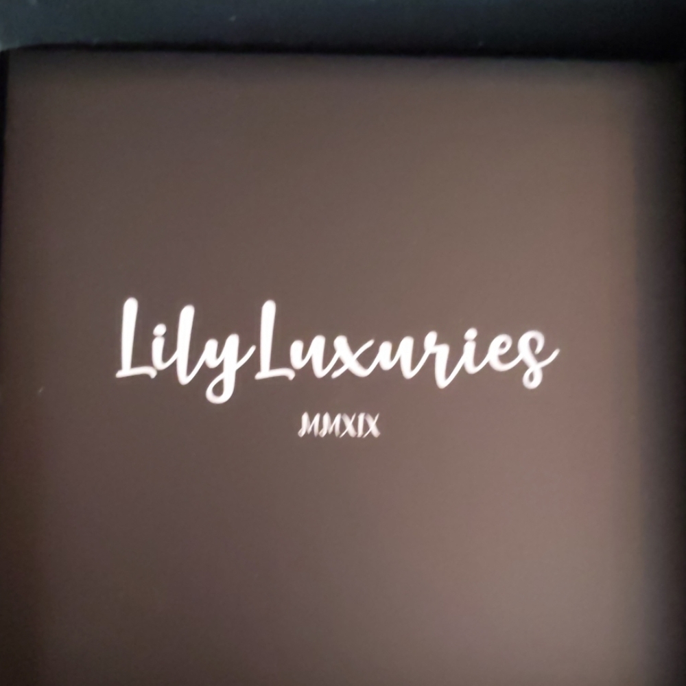 Lily luxuries silver necklace